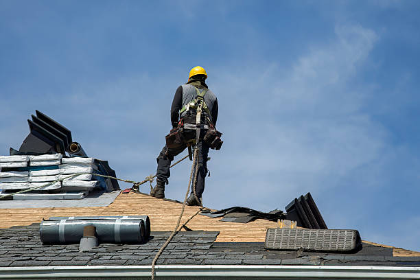Professional Roof Repair technician working in Marshall, WI